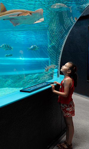 300x700 aquarium 2