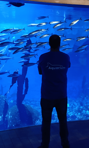 300x700 aquarium 3