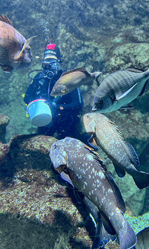 300x700 aquarium 4