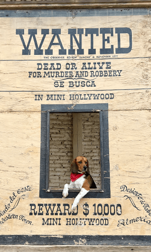 Territorio Western · Minihollywood Oasys, Almería